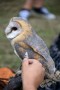Thumbs/tn_Zondag Castlefest 2015 014.jpg